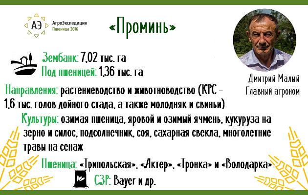 Общая инфографика предприятия «Проминь»